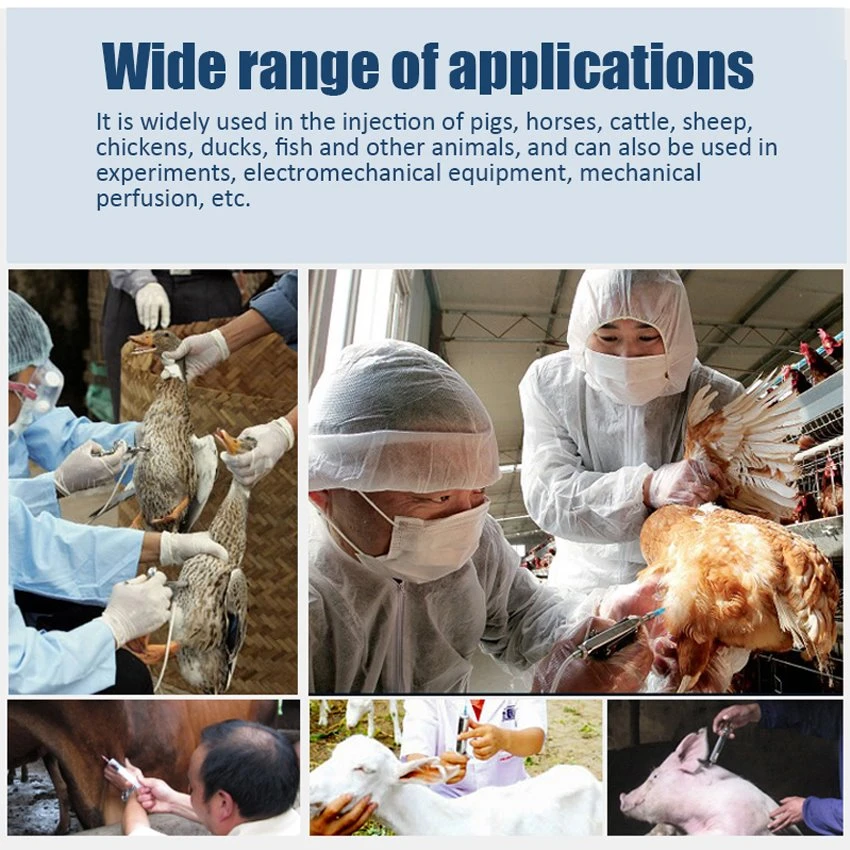 Application of veterinary injection needle