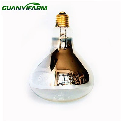 Ясна нагревателна лампа