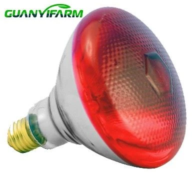 Инфрачервена лампа BR125 IR 250W E27